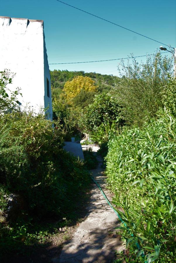 Villa Terrafazbem Marvão Exterior foto