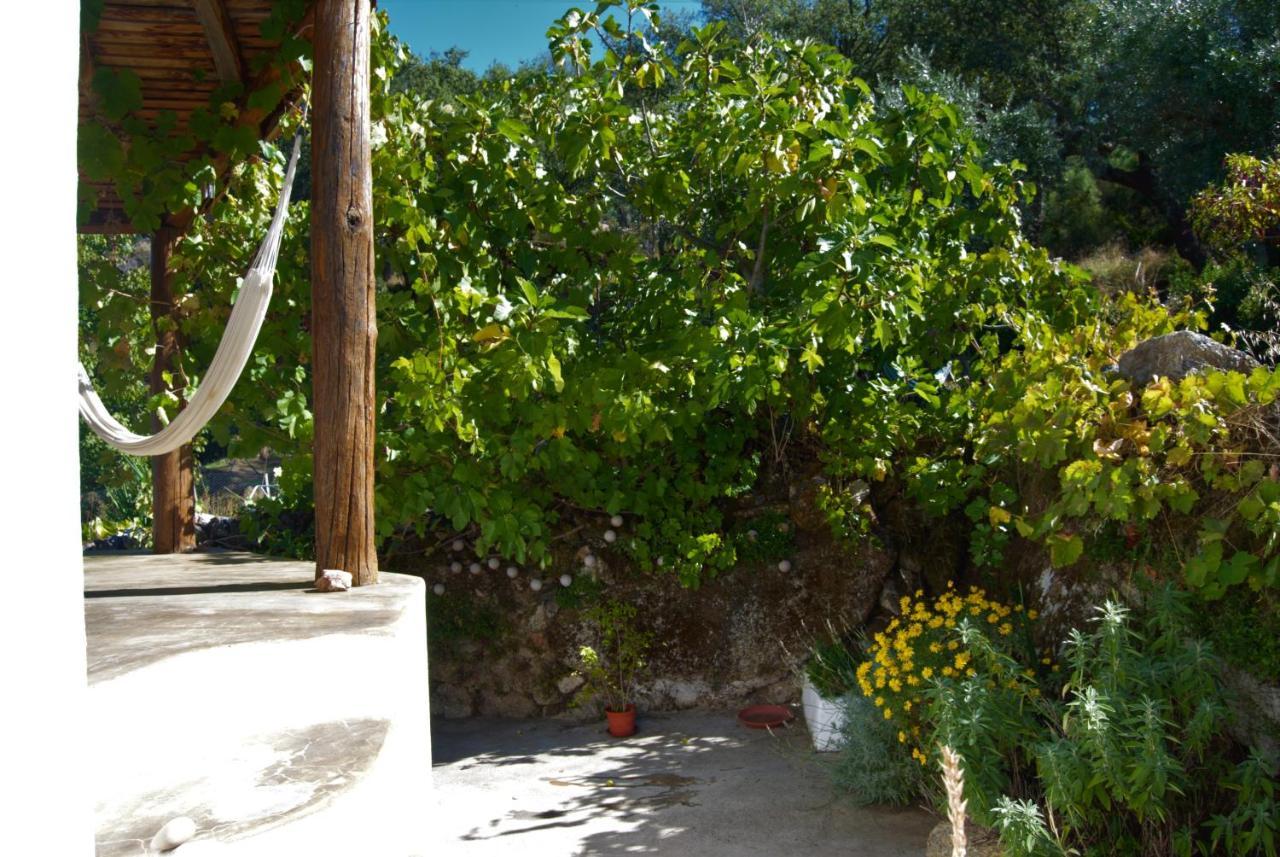 Villa Terrafazbem Marvão Exterior foto