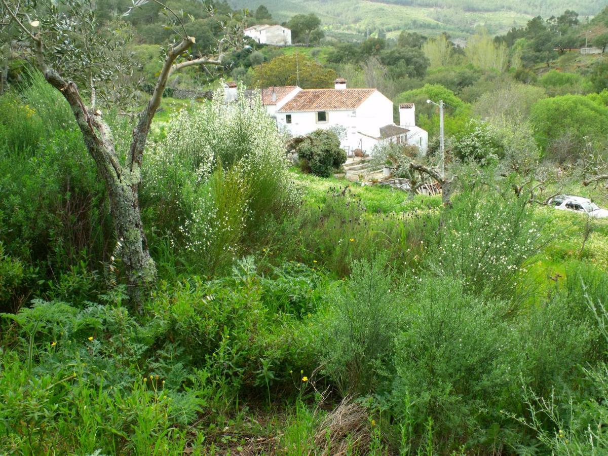 Villa Terrafazbem Marvão Exterior foto